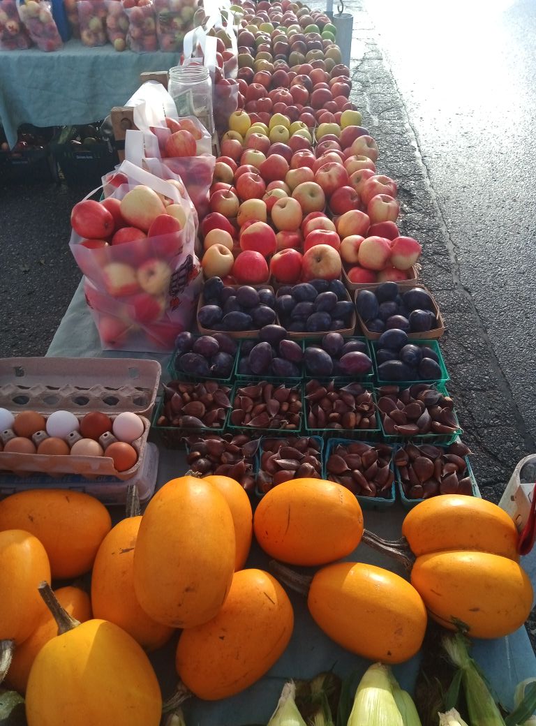 Neighborhood garden build