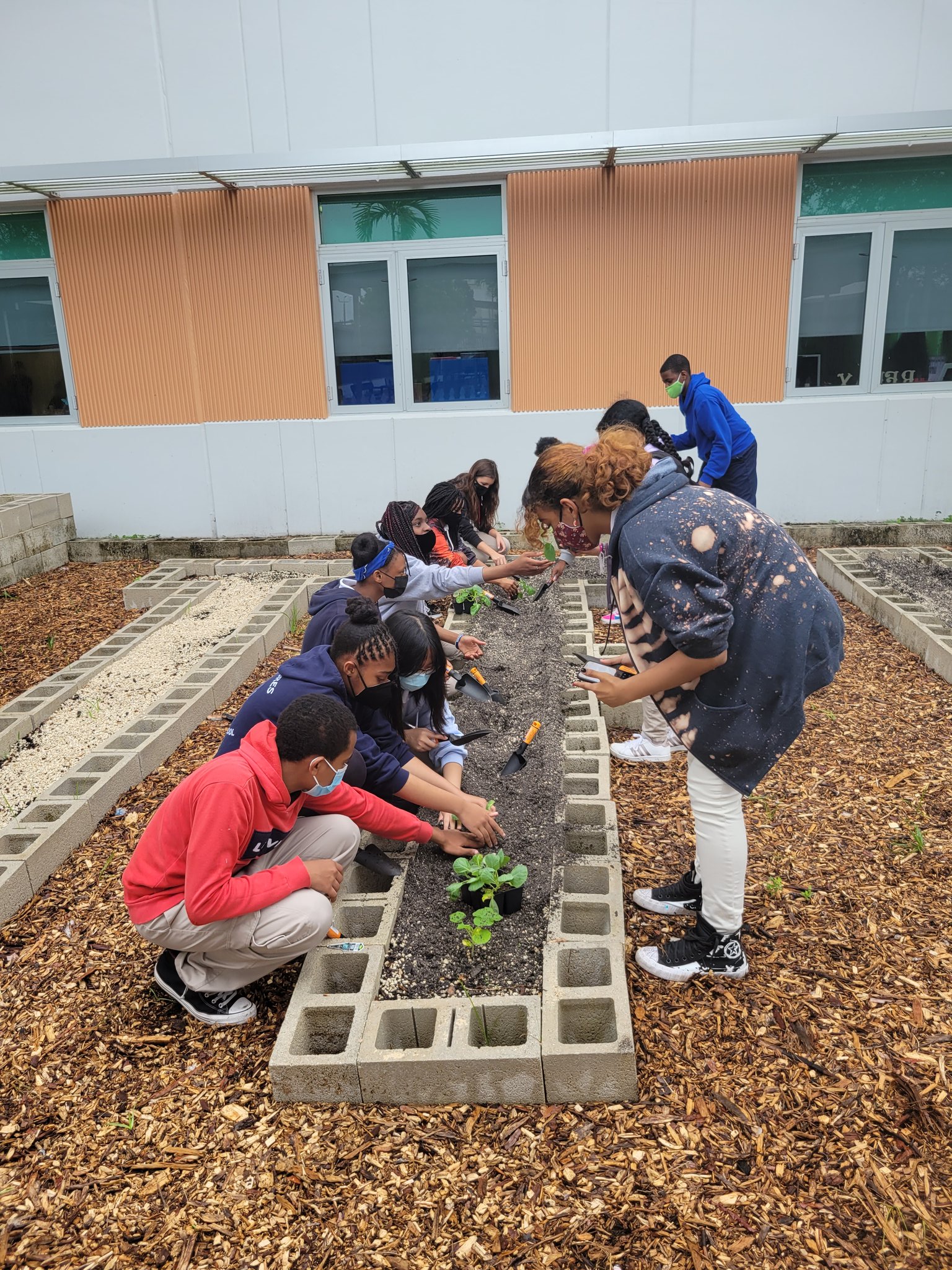 Youth gardening session